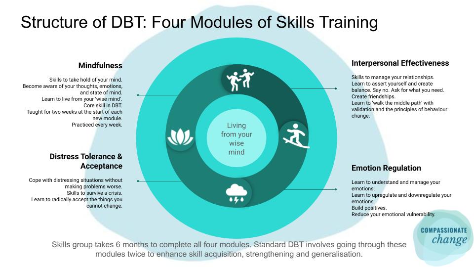 A summary of each of the four DBT skills modules.
