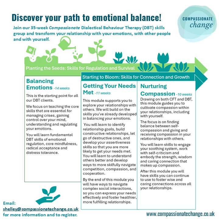 Group Flyer - Three Modules A description of the three modules of DBT at compassionate change ltd